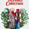 Friends Family Christmas fragman izle
