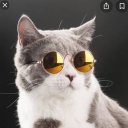 Tefenkardo adlı kullanıcı