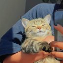 efes31 adlı kullanıcı